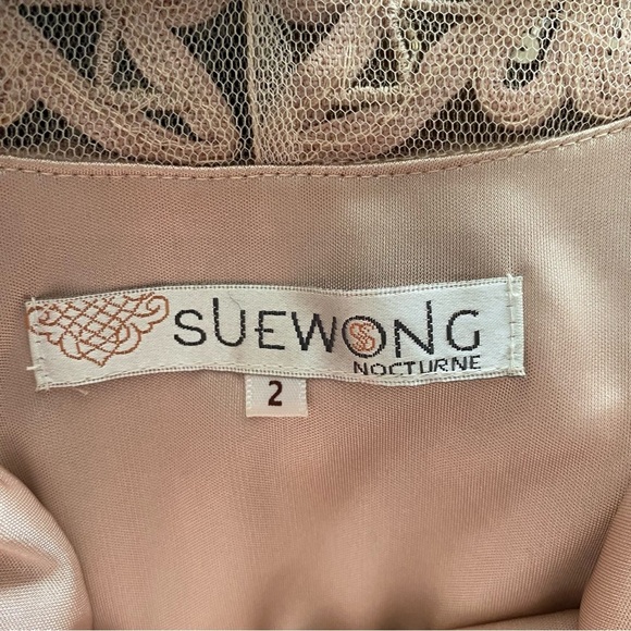 Sue Wong Nocturne Blush Pink Beaded Lace Dress Size 2 - Picture 8 of 12